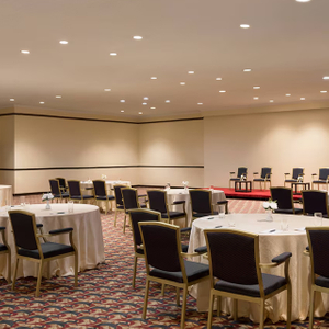 Hospitality Luxury Decoration Fixed Furniture Wall Panels