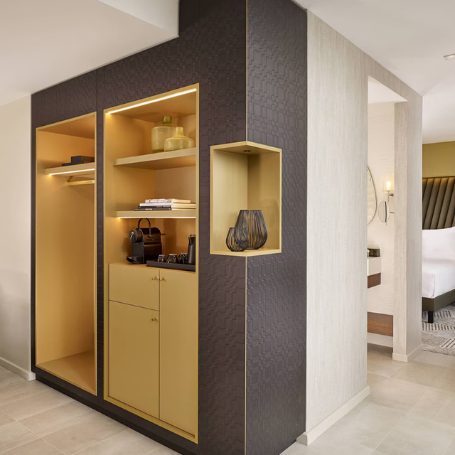 Foshan Factory Direct Furniture Solutions Closets Wardrobe for Hotel Suite