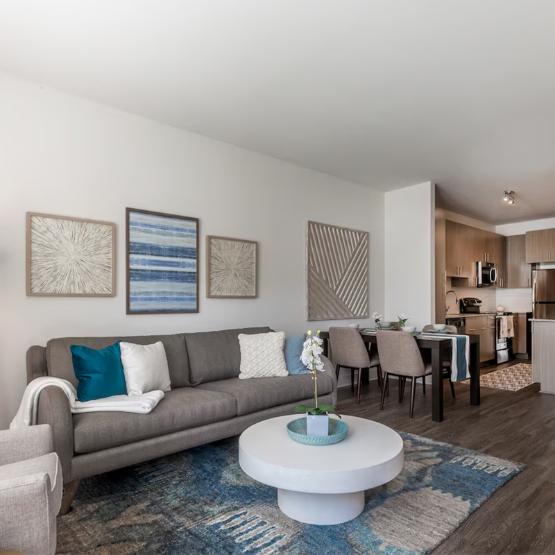 Interior Furniture Solutions Mid-Century Fully Furnished Studio Apartment Furniture Sets