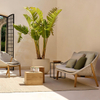 Yabu Pushelberg Interior Designer Choice Hotel Outdoor Furniture
